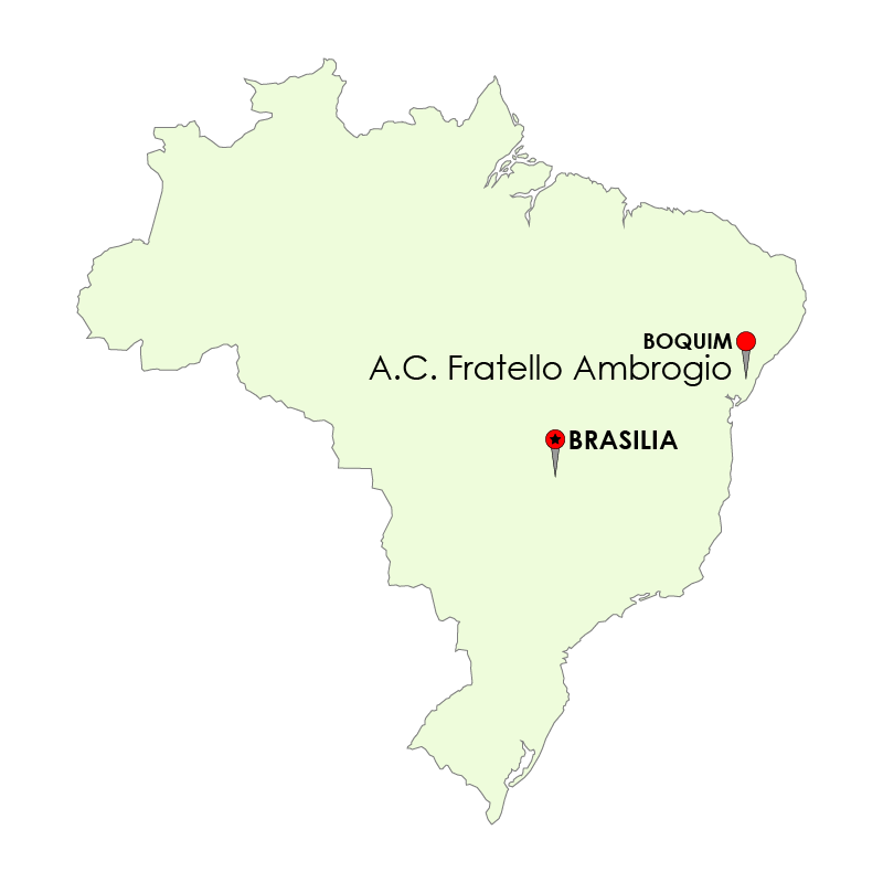 Brasile